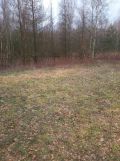 Działka leśna Szostek. Zdjęcie 1