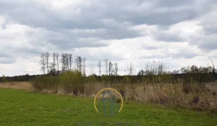 Działka rolna Giżyce