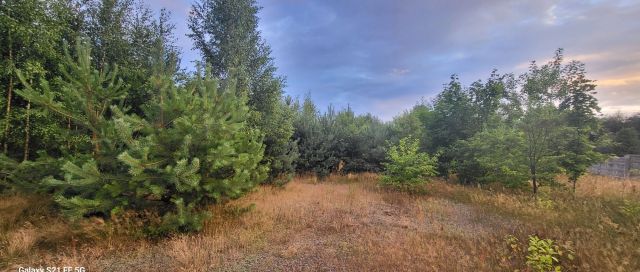 Działka Babiczki. Zdjęcie 1