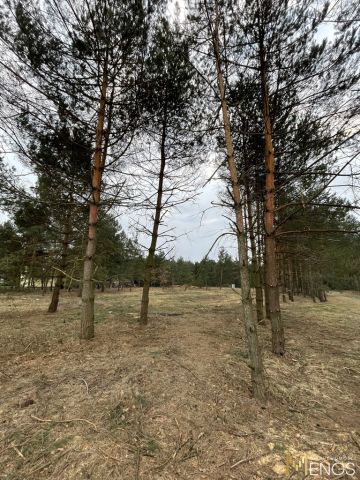 Działka budowlana Góra Kalwaria, ul. Leśna. Zdjęcie 7