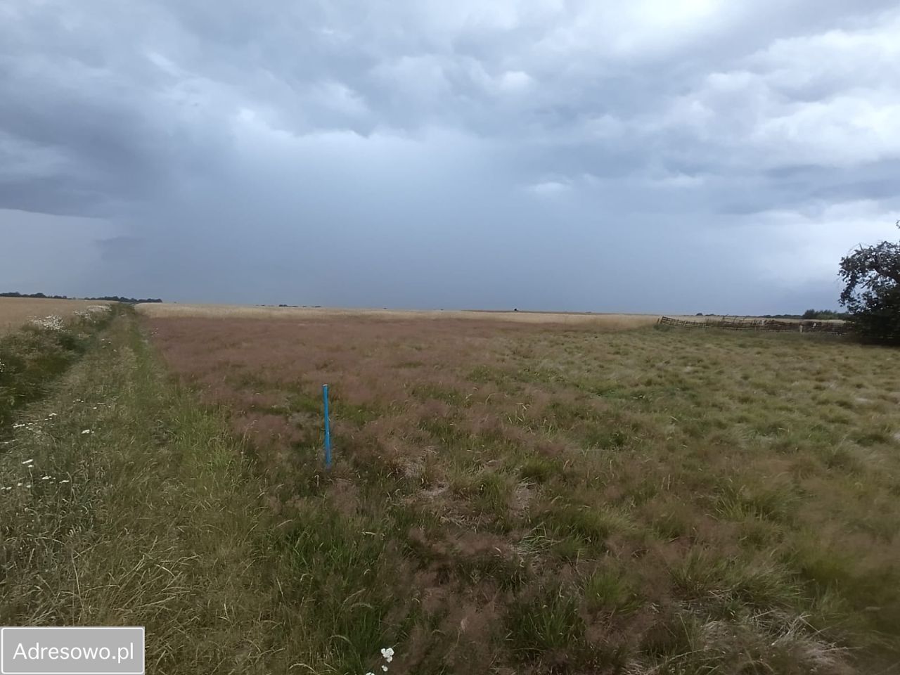 Działka budowlana Żarki Średnie. Zdjęcie 5