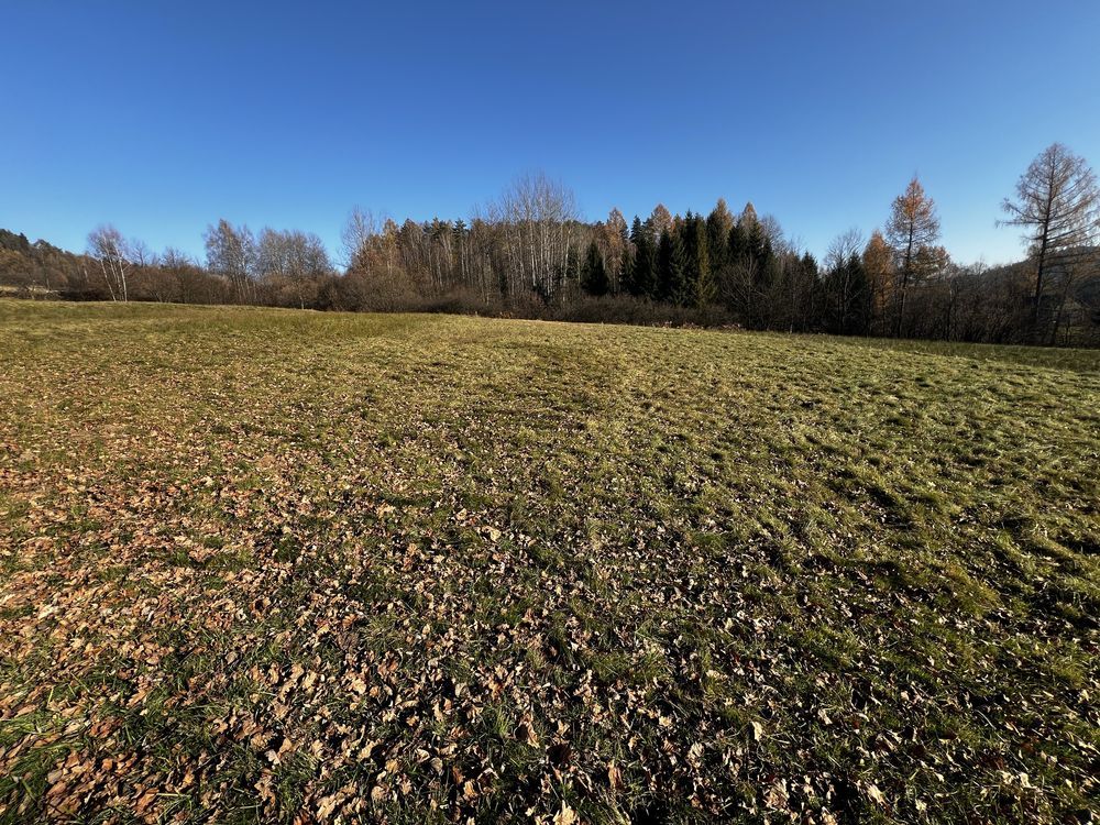 Działka budowlana Las