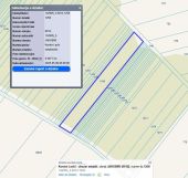 Działka leśna Albinów. Zdjęcie 1