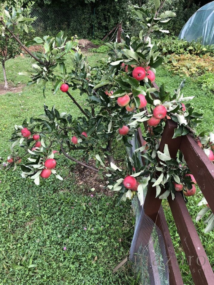 dom wolnostojący, 6 pokoi Przyszowa. Zdjęcie 26