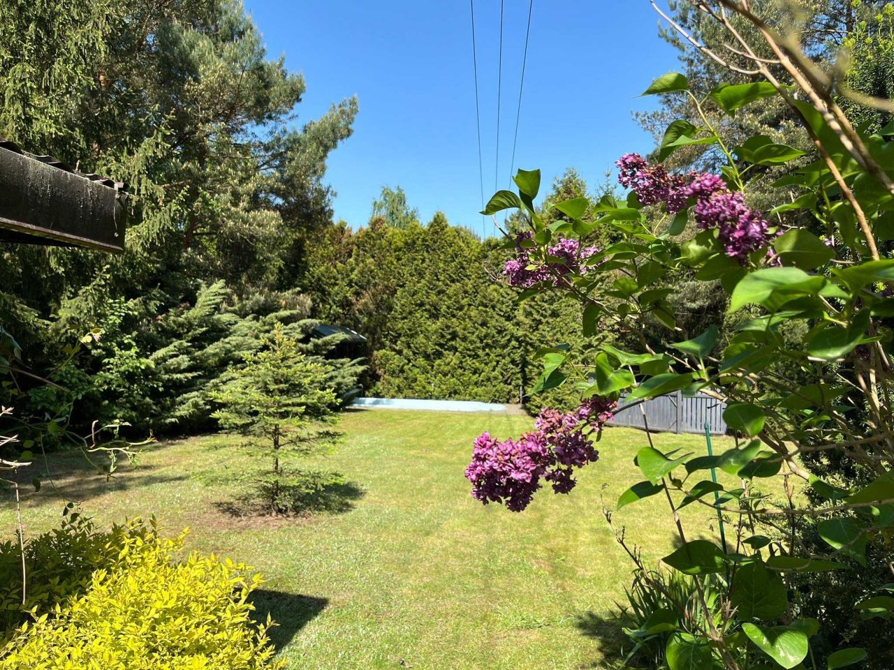 Działka rekreacyjna Arciechów. Zdjęcie 5