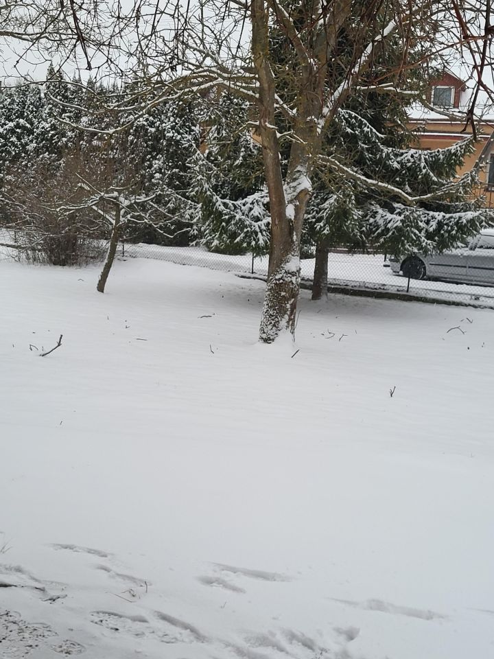 dom wolnostojący Kuńkowce Zalesie. Zdjęcie 5