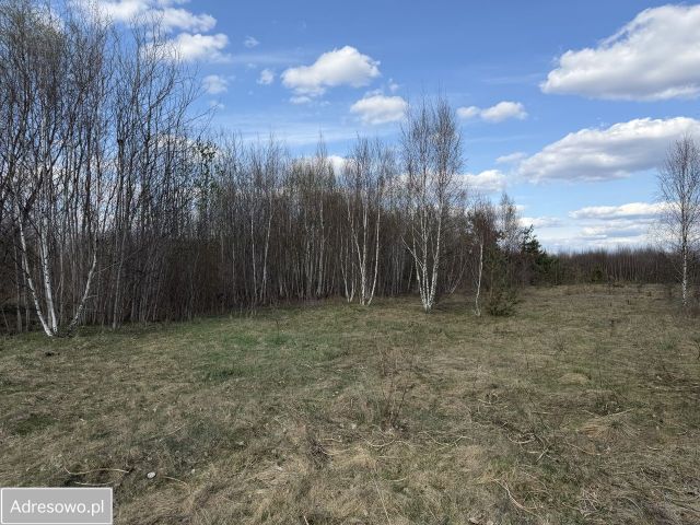 Działka budowlana Łosia Wólka. Zdjęcie 1