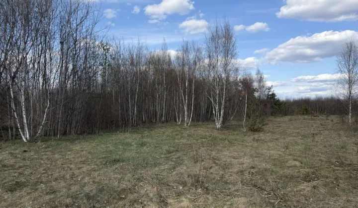 Działka budowlana Łosia Wólka