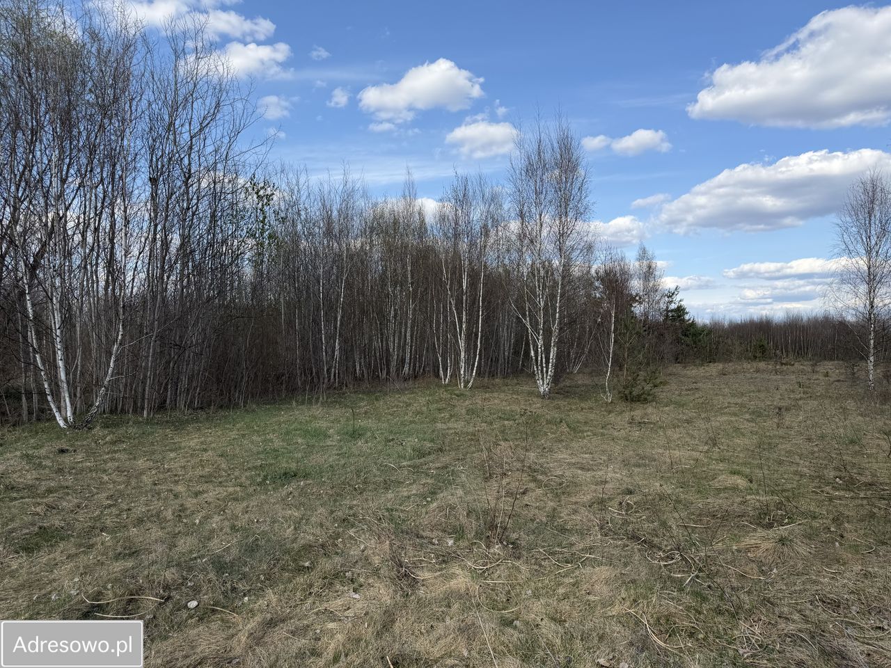 Działka budowlana Łosia Wólka. Zdjęcie 1