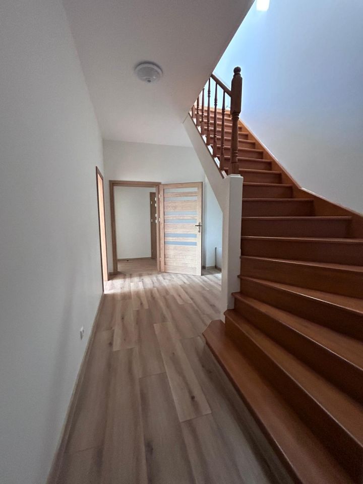 Biuro Zieleniec. Zdjęcie 12