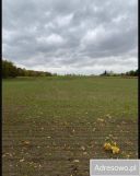 Działka rolna Jaworze. Zdjęcie 1