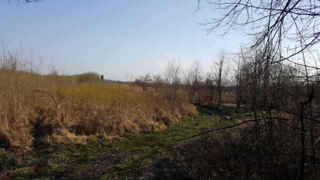 Działka inwestycyjna Kaniów, Nad Wisłą. Zdjęcie 7