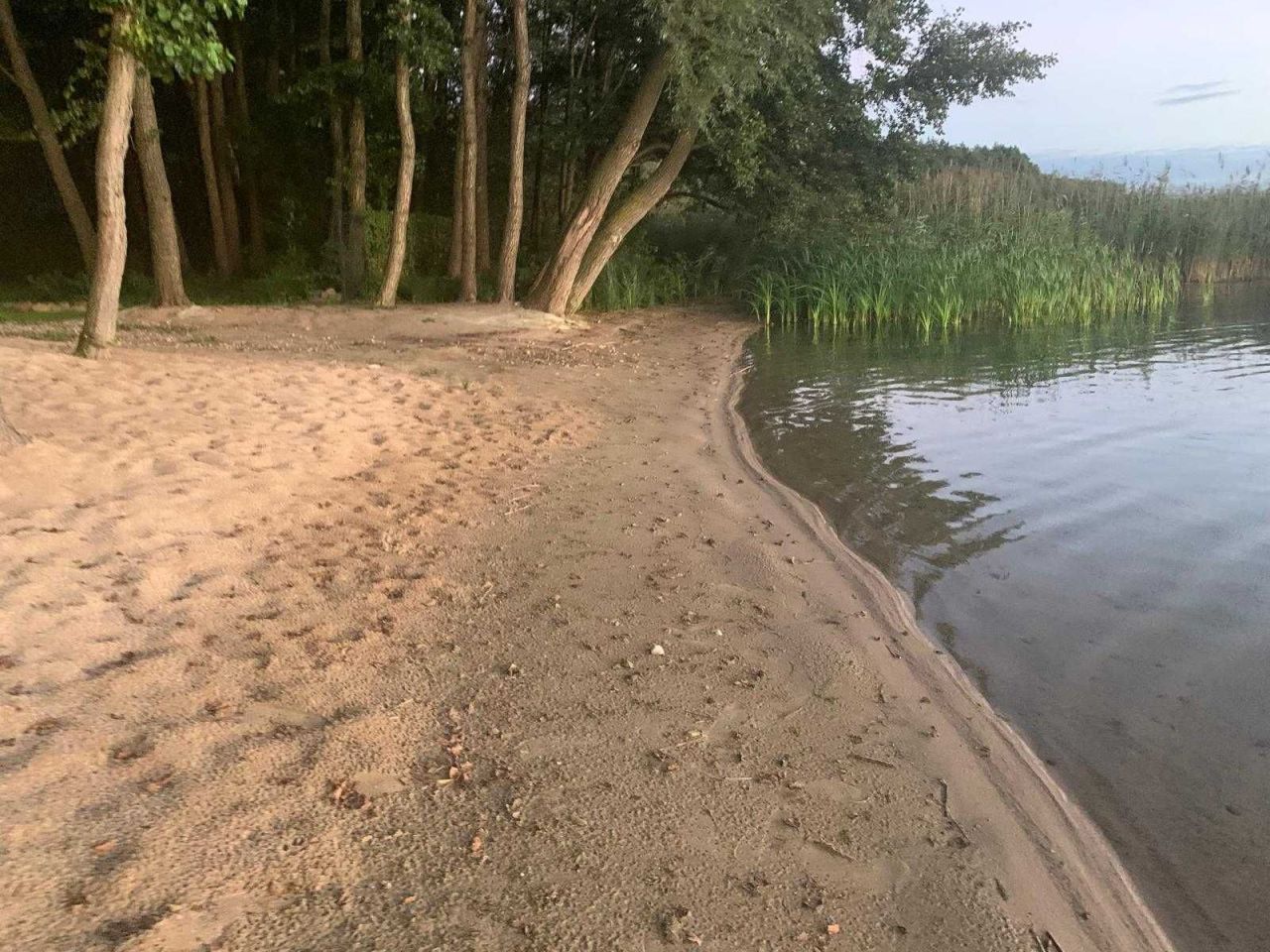 Działka rekreacyjna Izdebno. Zdjęcie 1