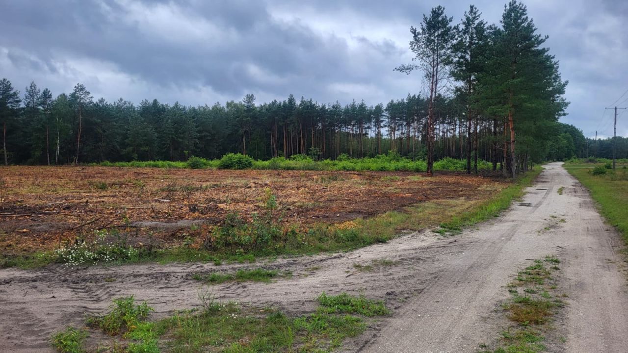 Działka budowlana Kosinowo. Zdjęcie 2