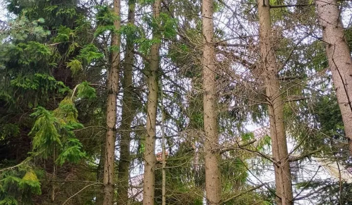 Działka budowlana Machowinko