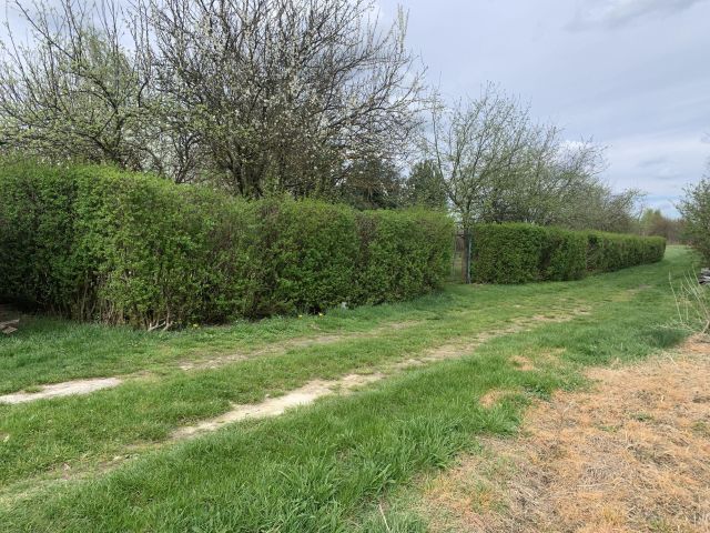 Działka budowlana Rudna Mała. Zdjęcie 1