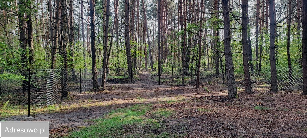 Działka rekreacyjna Kamień