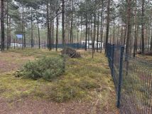 Działka leśna Borsk. Zdjęcie 3