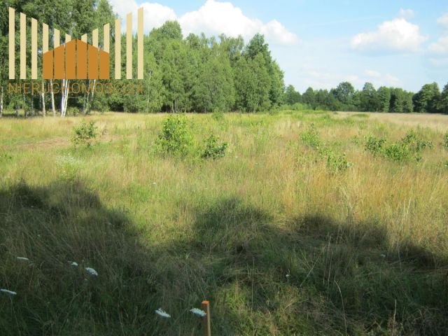 Działka budowlana Mrozy. Zdjęcie 4