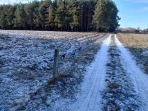 Działka budowlana Ludwików. Zdjęcie 2