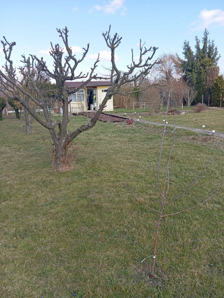 Działka rod Mielec. Zdjęcie 2