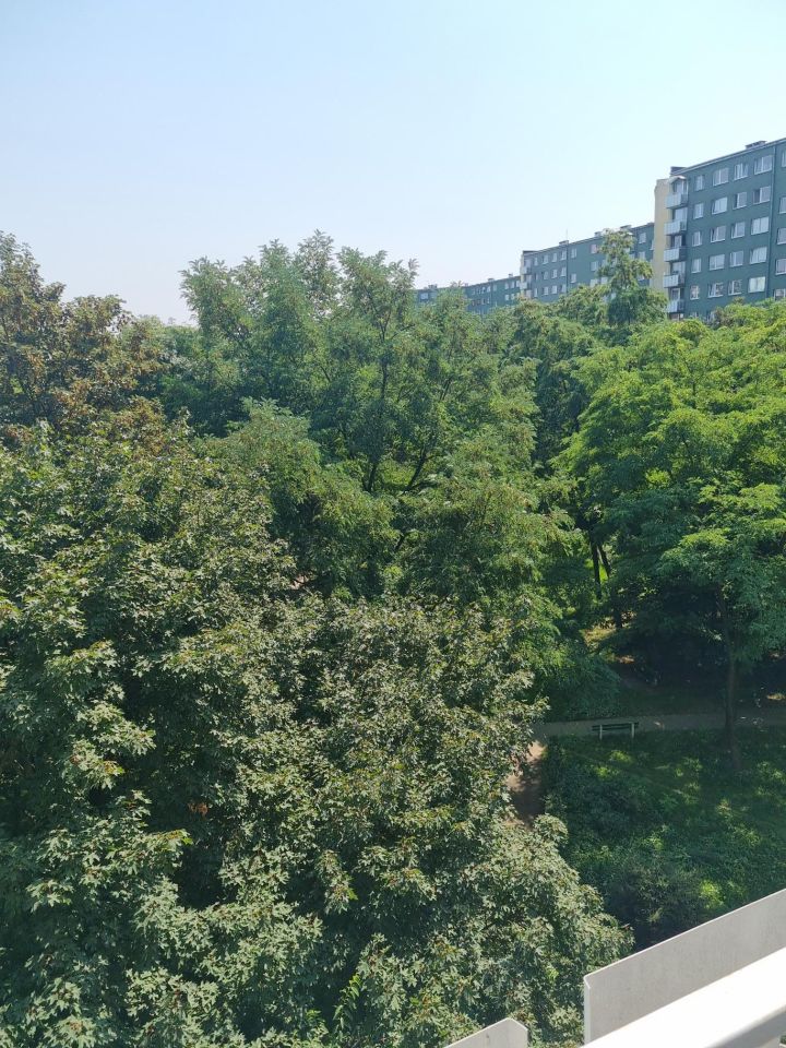 Mieszkanie 3-pokojowe Wrocław Polanka, ul. Macedońska. Zdjęcie 2