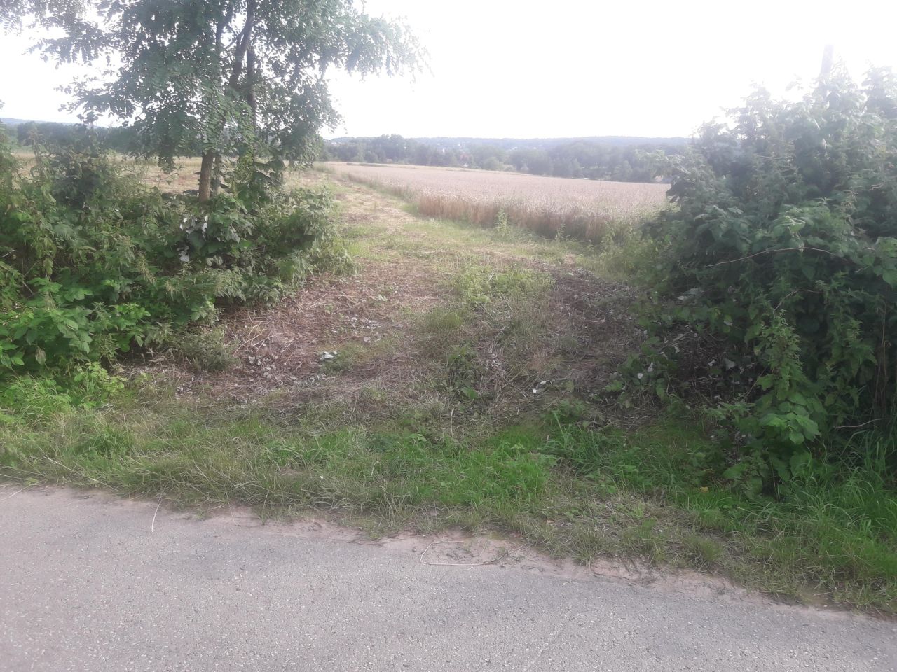 Działka siedliskowa Bolechowice Skotnica, ul. Siedliski. Zdjęcie 4