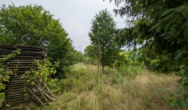 Działka rolno-budowlana Lipinki Łużyckie, os. Kolejowe