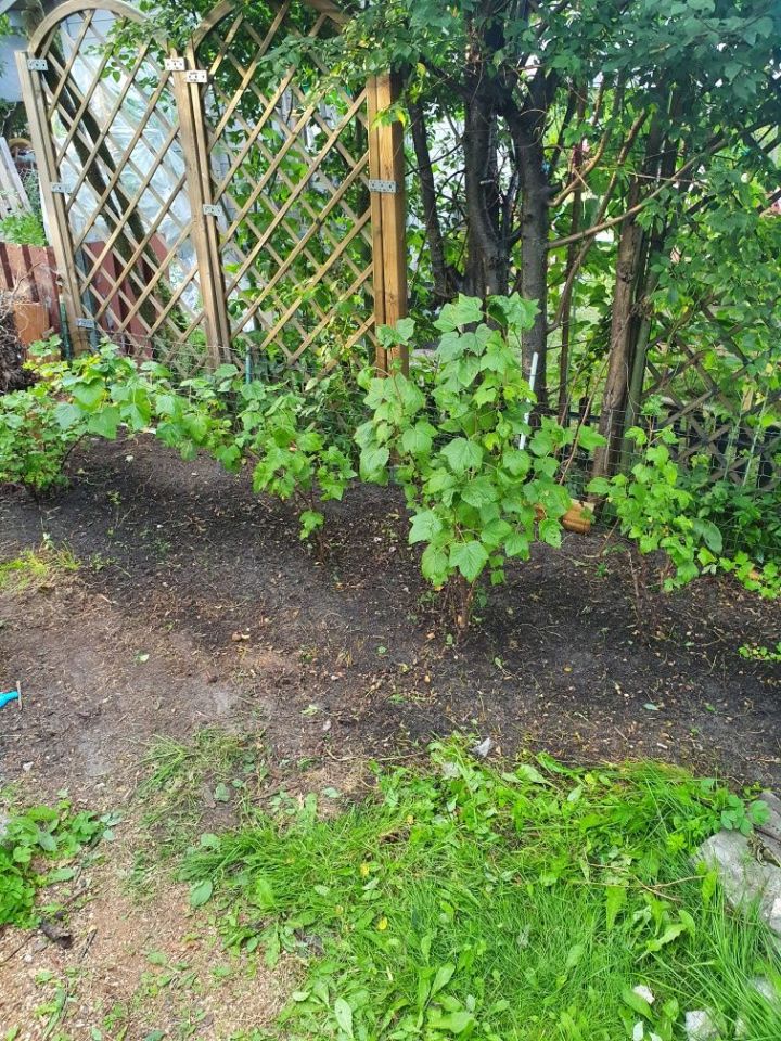 Działka rod Łódź Polesie. Zdjęcie 7