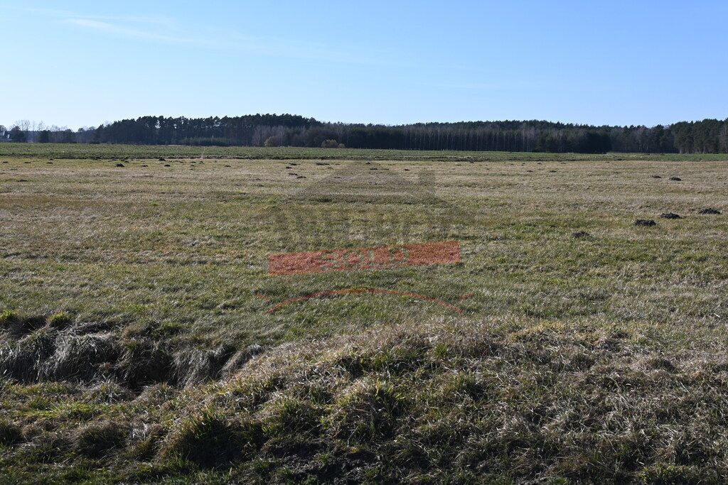 Działka budowlana Kadłub, ul. Piaskowa. Zdjęcie 2