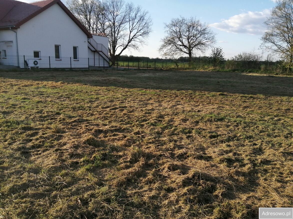 Działka budowlana Rusko, ul. Klonowa. Zdjęcie 1
