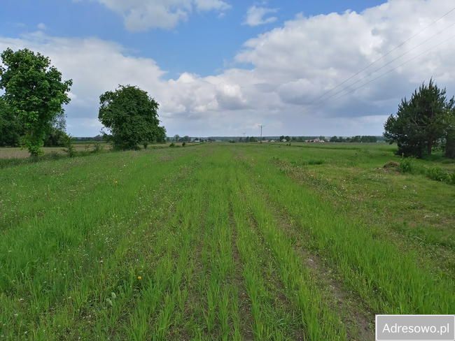 Działka budowlana Żelechów, ul. Długa. Zdjęcie 1