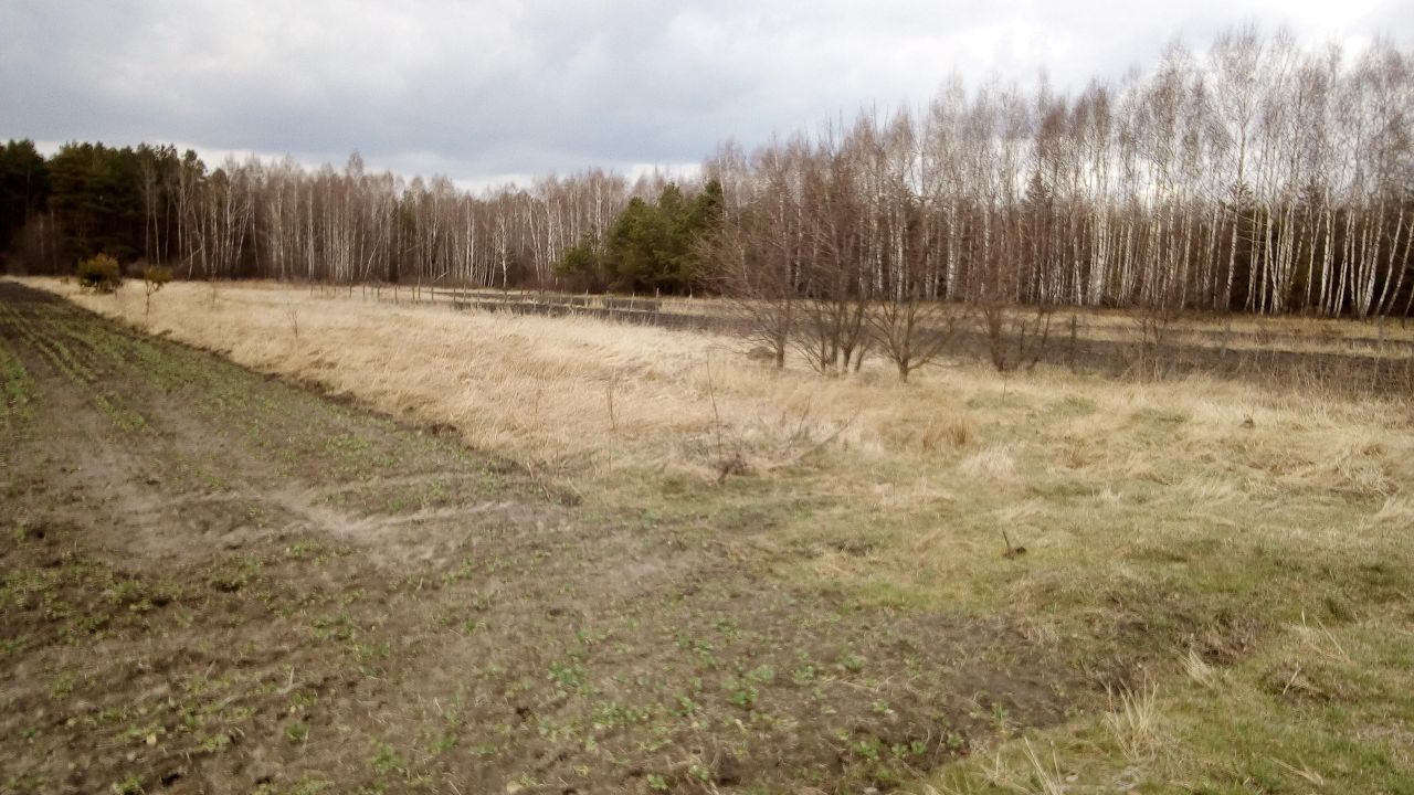 Działka inwestycyjna Czeremcha-Wieś. Zdjęcie 5