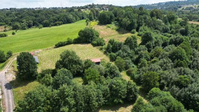 Lokal Gaj Brzyczyna, ul. Spadzista. Zdjęcie 2