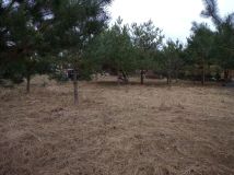 Działka budowlana Zdziechów. Zdjęcie 2