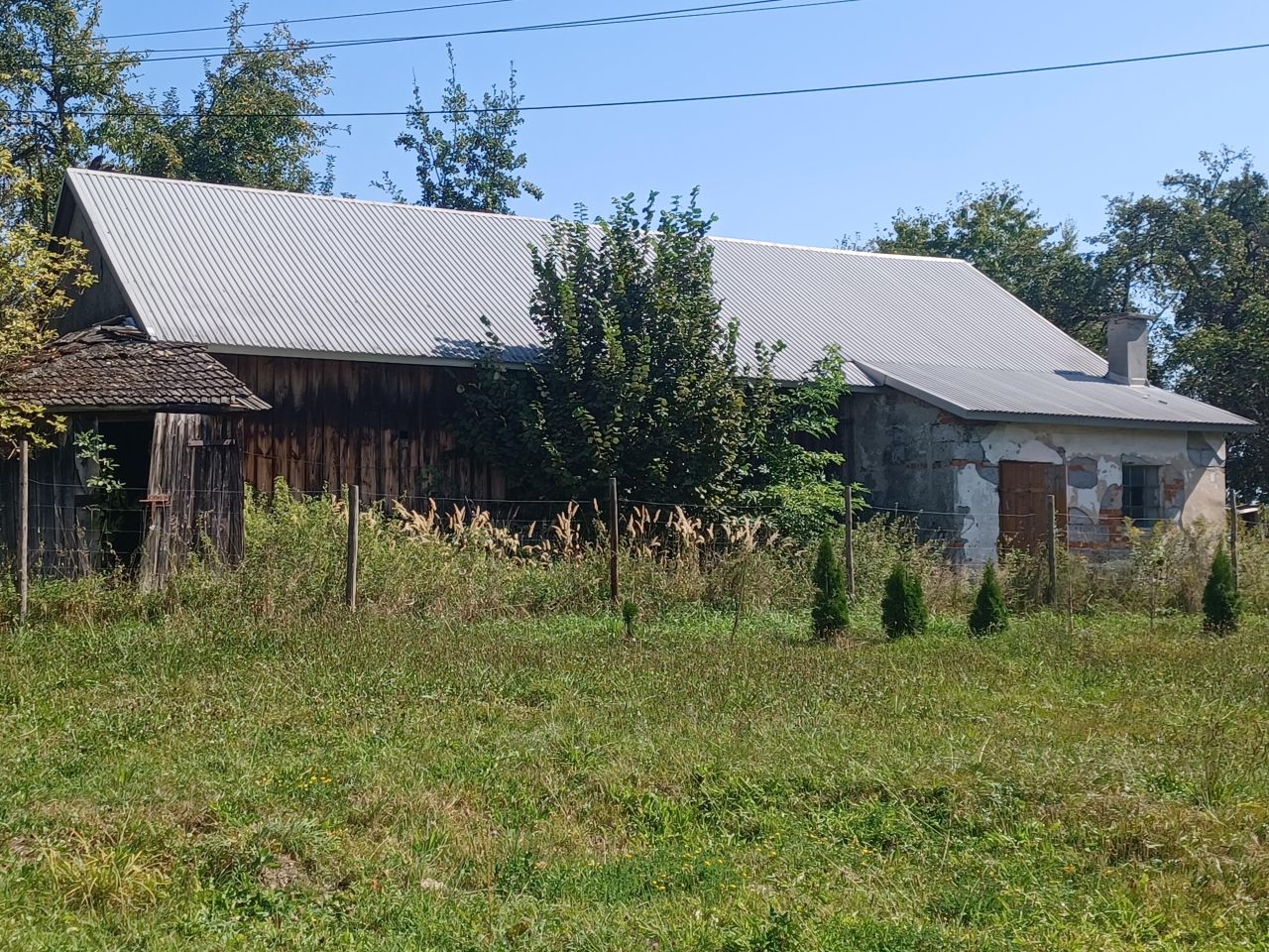 Działka rolno-budowlana Korczyna. Zdjęcie 1