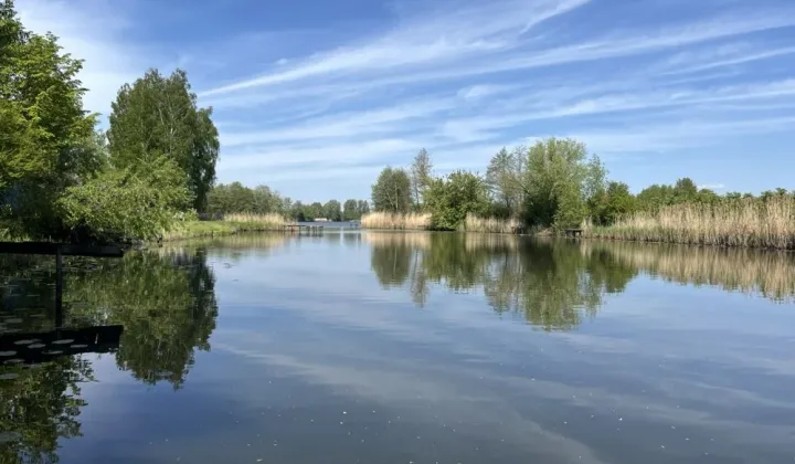Działka rolna Piwonin