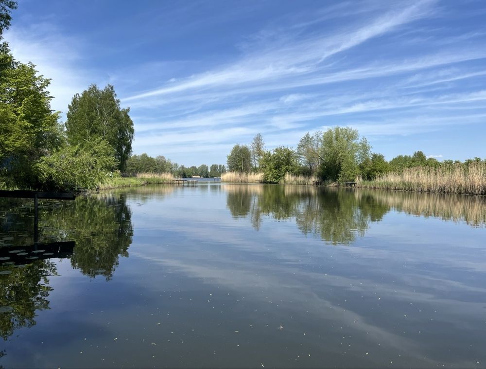 Działka rolna Piwonin. Zdjęcie 1