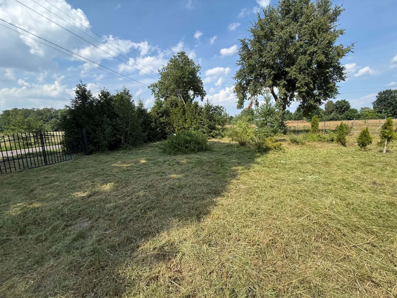 Działka budowlana Nowy Adamów, Nowy Adamów. Zdjęcie 6