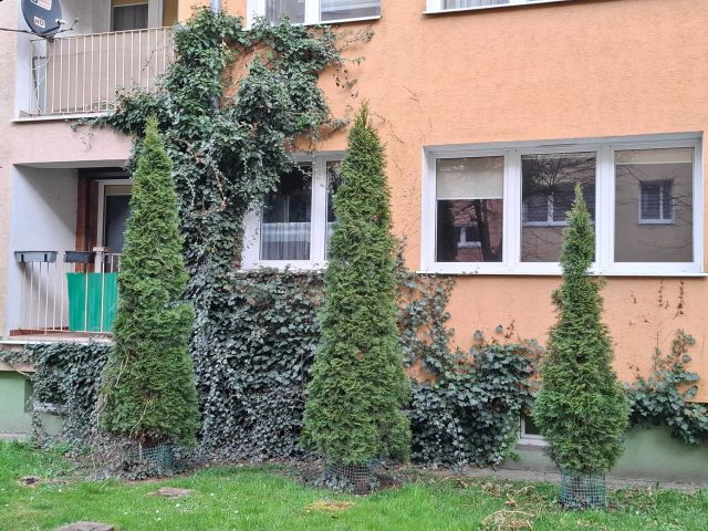 Mieszkanie 2-pokojowe Wałcz, ul. Wojska Polskiego. Zdjęcie 1