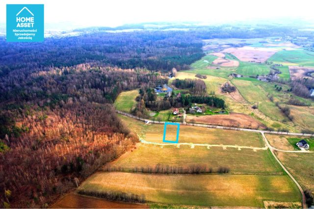 Działka budowlana Nowa Wieś Przywidzka, ul. Piastowska. Zdjęcie 8