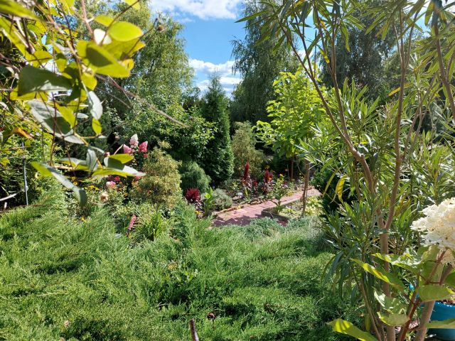 dom wolnostojący, 6 pokoi Piotrków Trybunalski Krakówka, ul. Morgowa. Zdjęcie 1