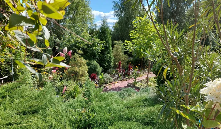 dom wolnostojący, 6 pokoi Piotrków Trybunalski Krakówka, ul. Morgowa