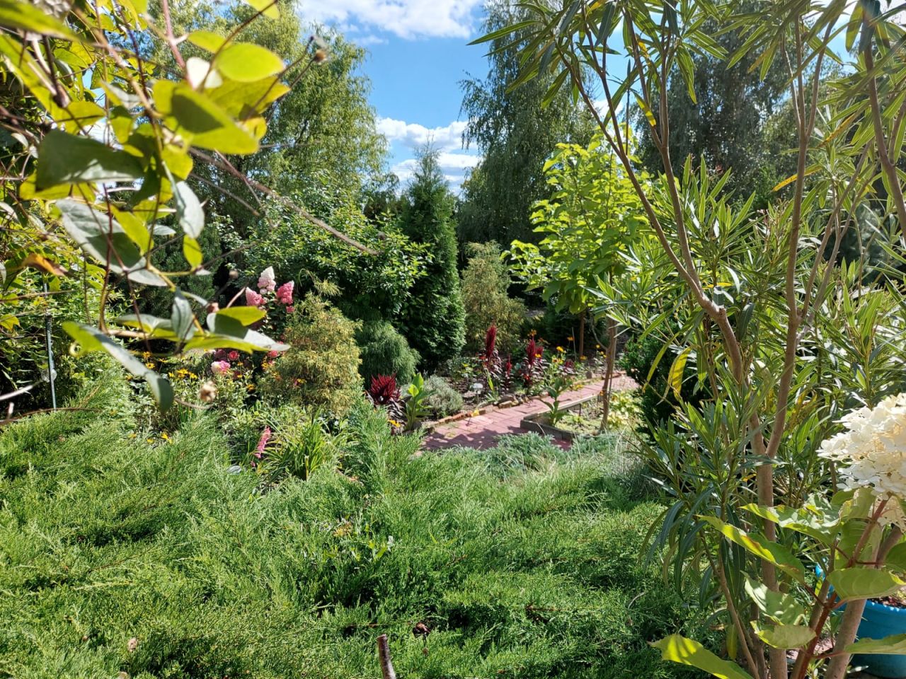 dom wolnostojący, 6 pokoi Piotrków Trybunalski Krakówka, ul. Morgowa. Zdjęcie 2