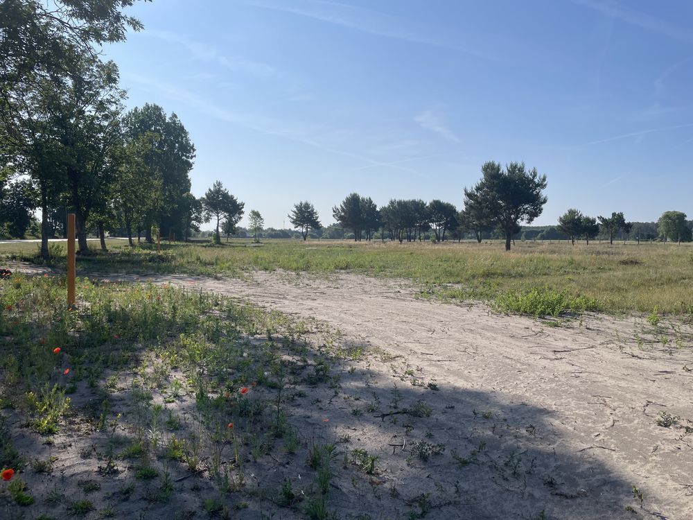 Działka budowlana Deszczno. Zdjęcie 5