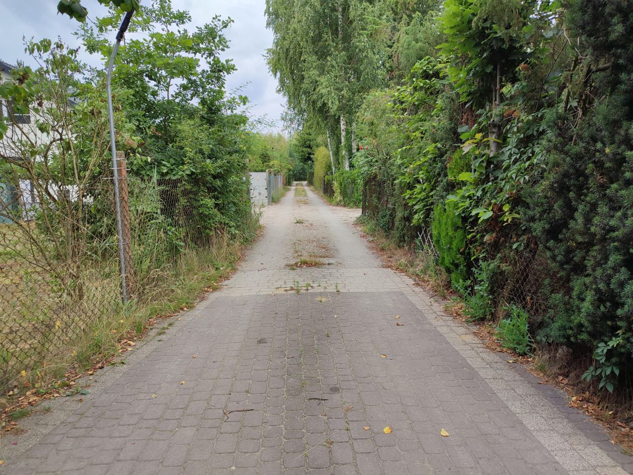 Działka budowlana Marylka, ul. Sosny. Zdjęcie 8