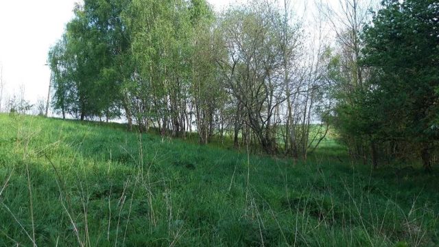 Działka siedliskowa Liszkowo. Zdjęcie 1