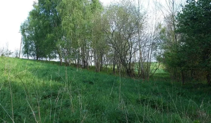 Działka siedliskowa Liszkowo