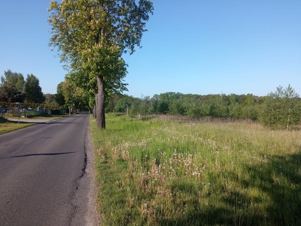 Działka budowlana Przemocze. Zdjęcie 4