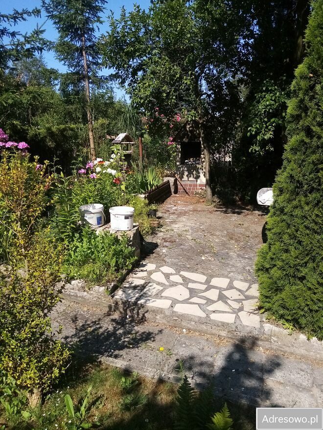 Działka rod Sosnowiec. Zdjęcie 2